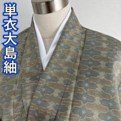 KN2671 単衣 大島紬 身丈152.5cm 正絹 単衣着物 紬