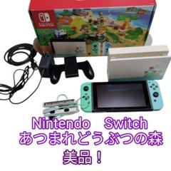 Nintendo Switch あつまれどうぶつの森