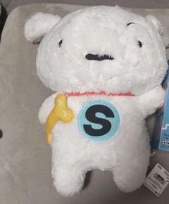 クレヨンしんちゃん シロぬいぐるみ
