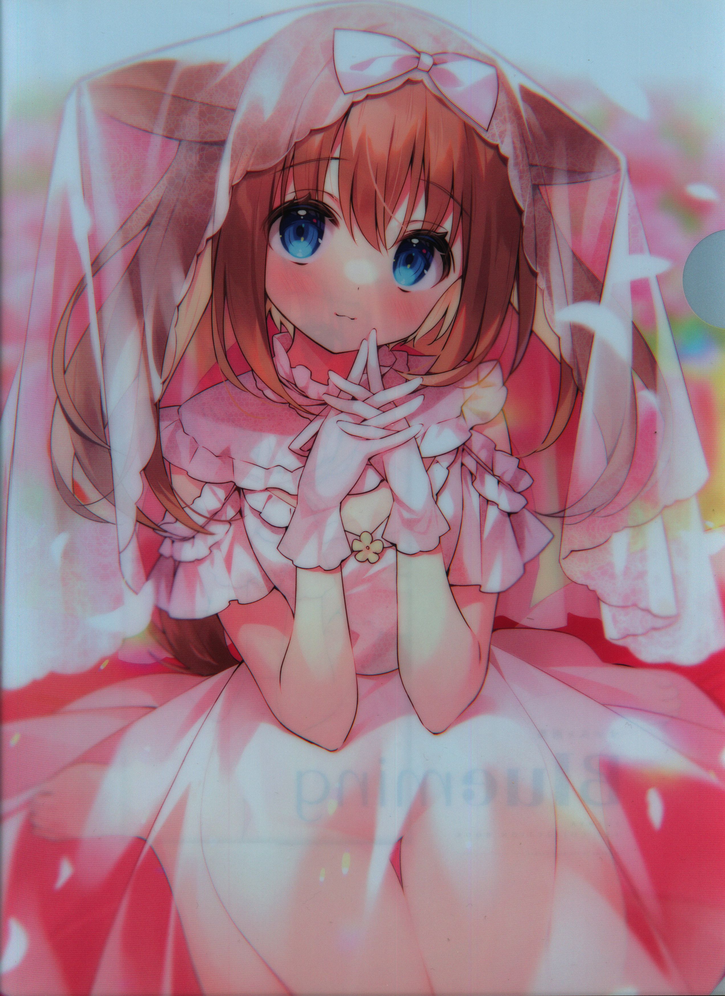 KADOKAWA すいみゃ Blueming　すいみゃ画集　メロンブックス特典クリアファイル